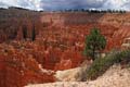 bryce canyon - utah - usa 005